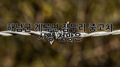 해남군 계곡면 잠두리 중고차 시장 전망은?