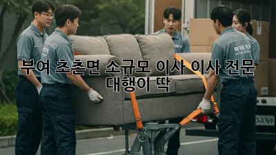 부여 초촌면 소규모 이사, 이사 전문 대행이 딱!